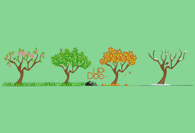 5 Steps to Managing Seasonal Demand