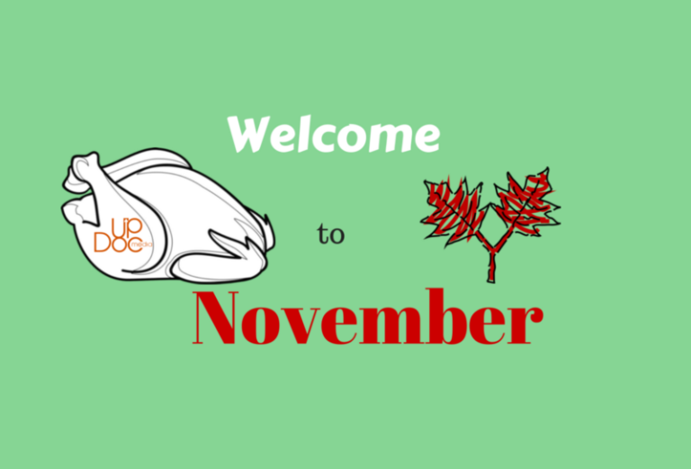November and More!